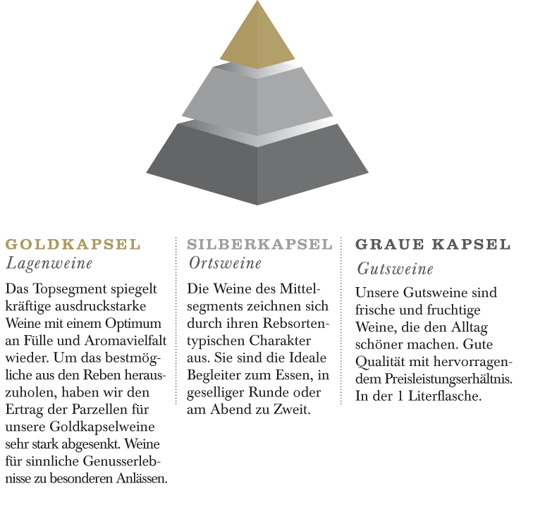 X_Qualipyramide_V1